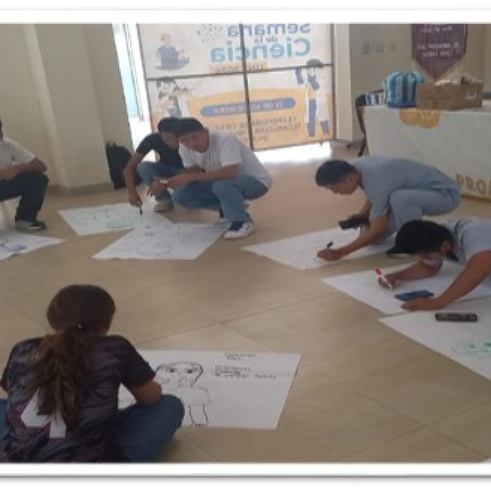 habilidades-socioemocionales